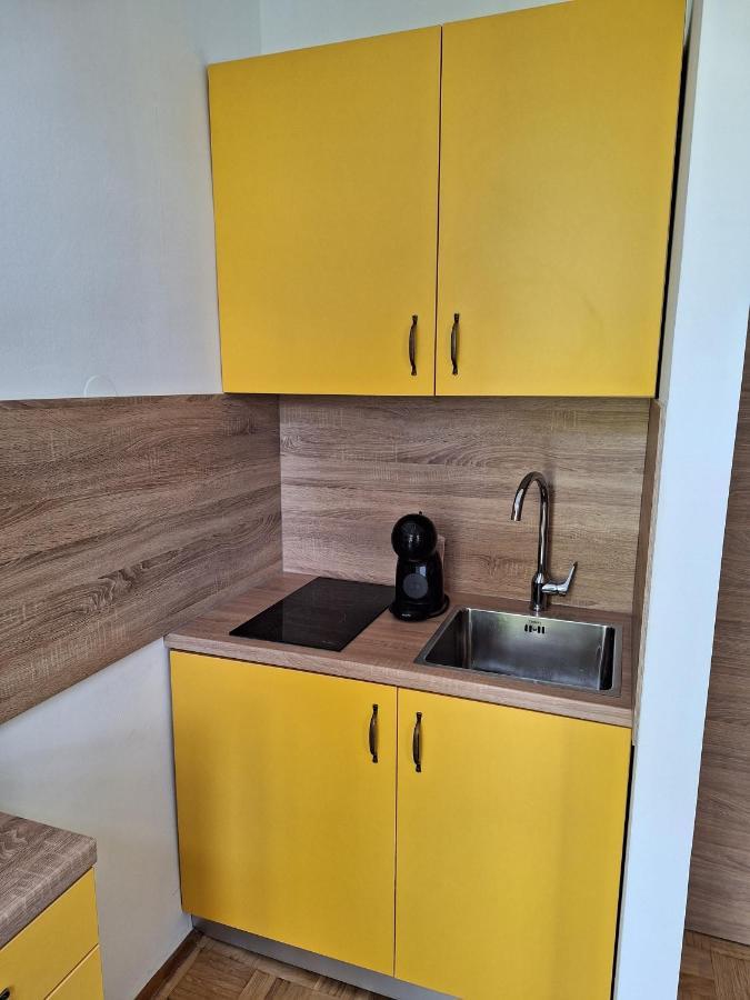 Appartement Drazica